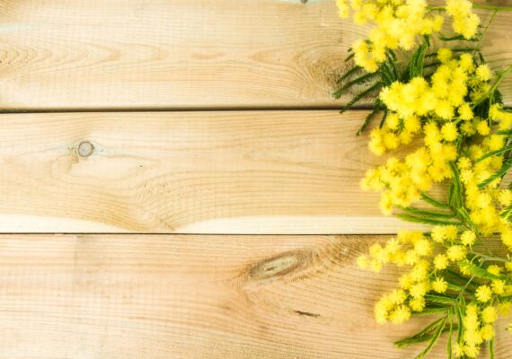 8 productos ideales para el inicio de la primavera